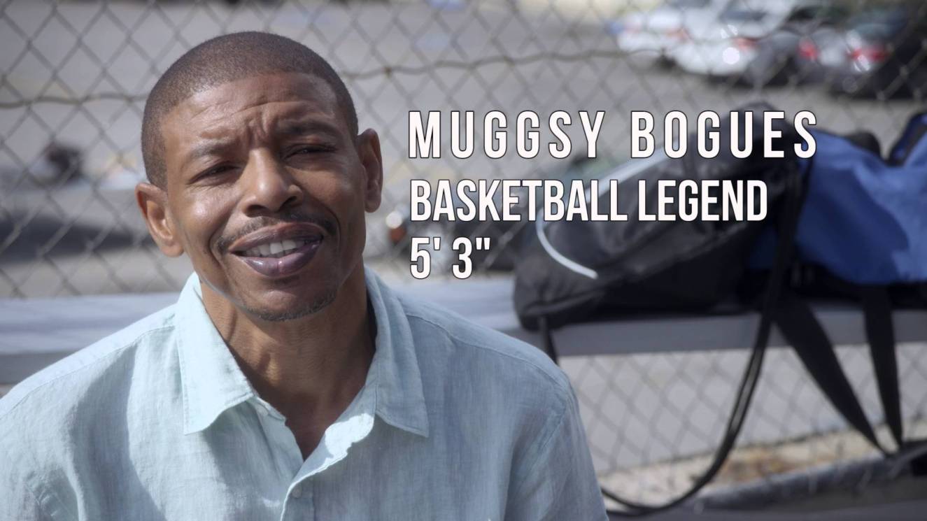 Как ворованные шутки создают супертрафик (ВИДЕО)