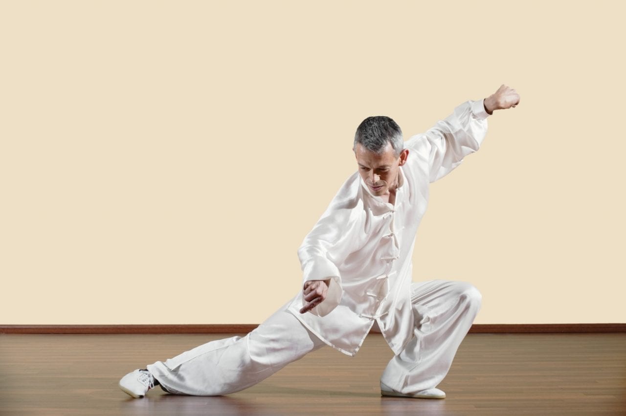 Кунг Фу – искусство движения (ВИДЕО)