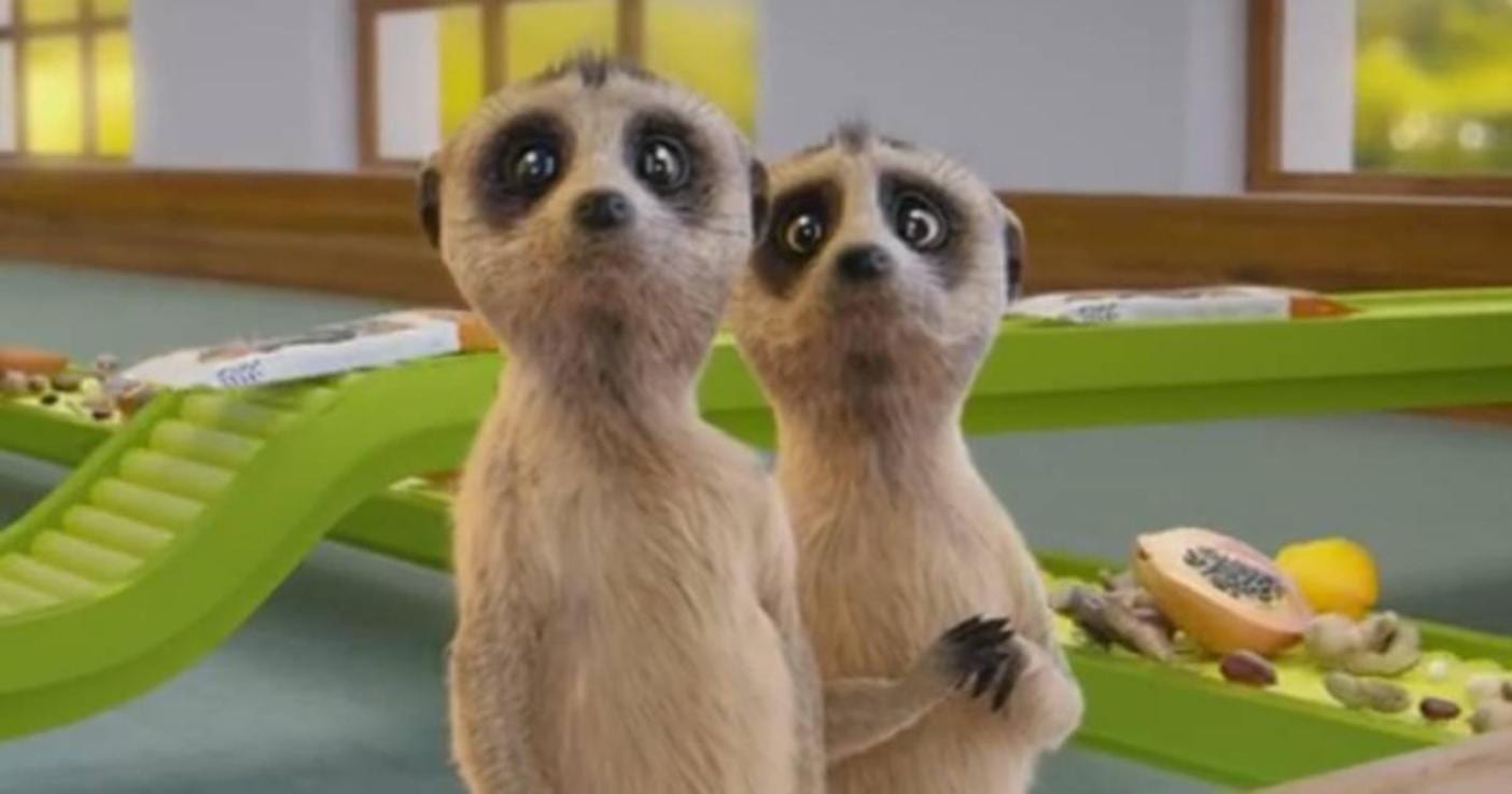 Белка принимает эстафету (ВИДЕО)