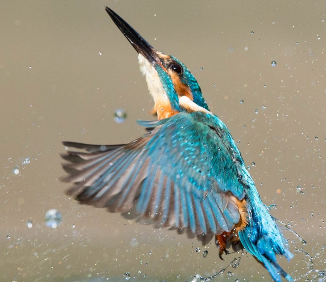 Лучшие фото National Geographic Travel 2016