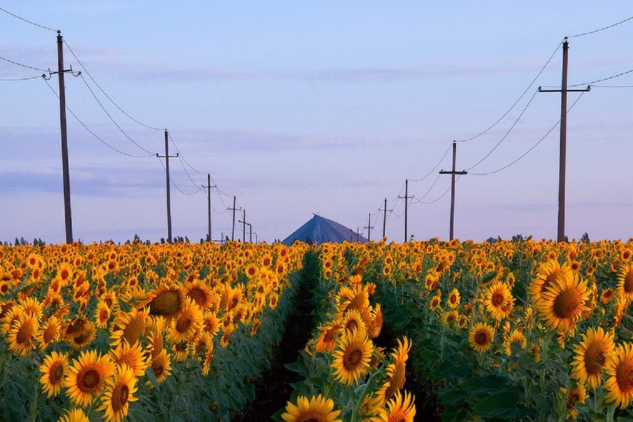 9 симметричных пейзажей, созданных самой природой