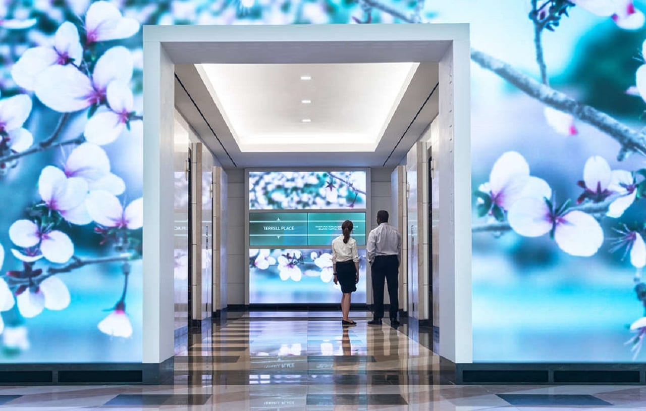 Живой вишневый сад на офисных стенах (ВИДЕО)