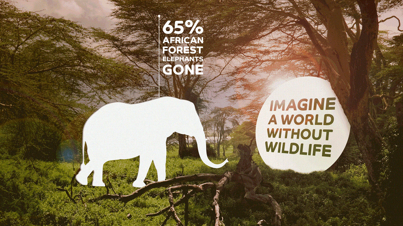 Земля без дикой жизни (ВИДЕО)