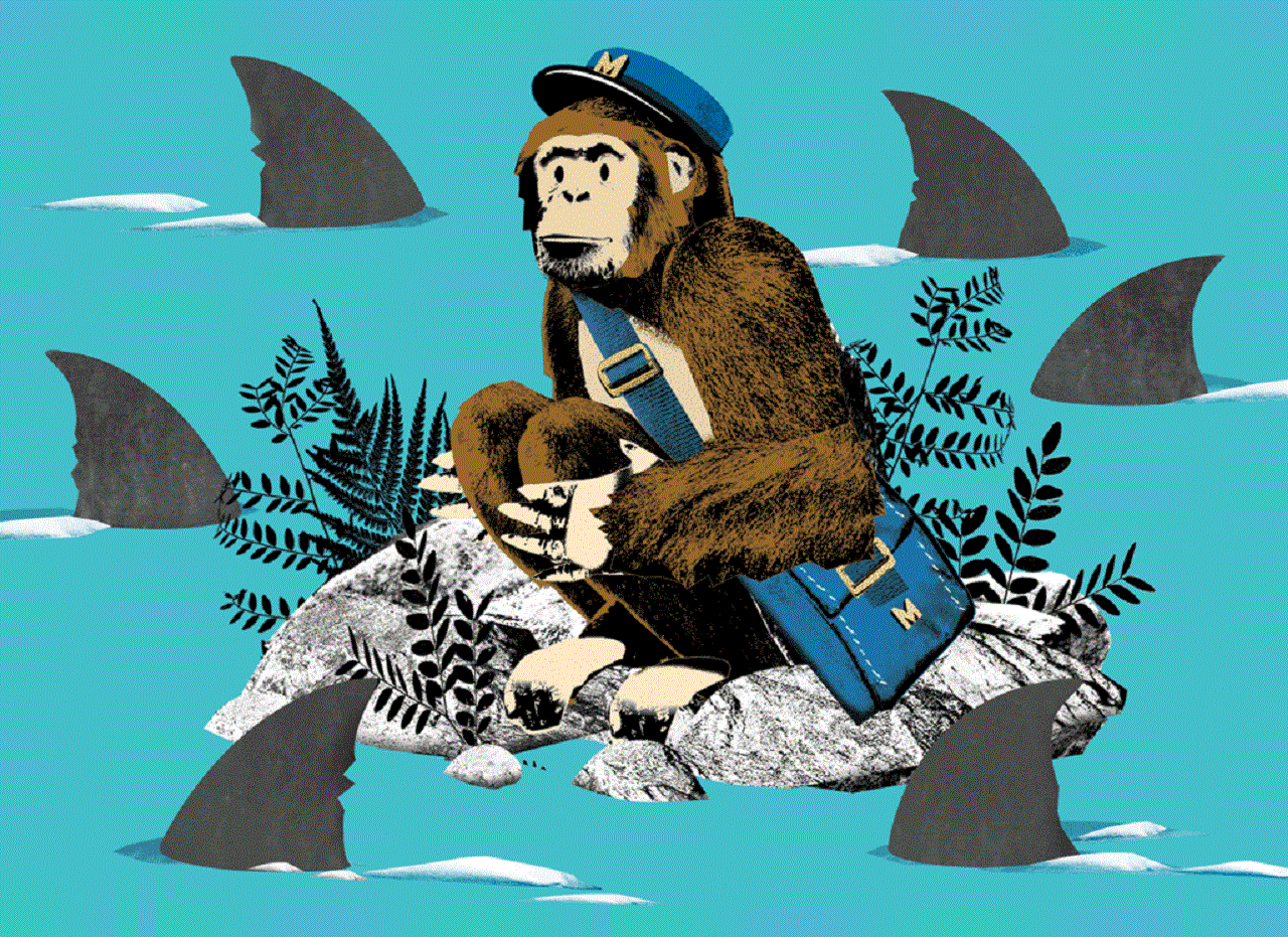 Стартап за пределами Кремниевой долины. История одной компании