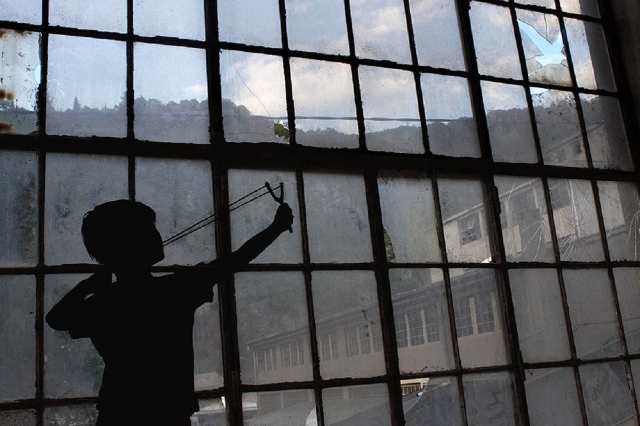 Птицы разбитых окон