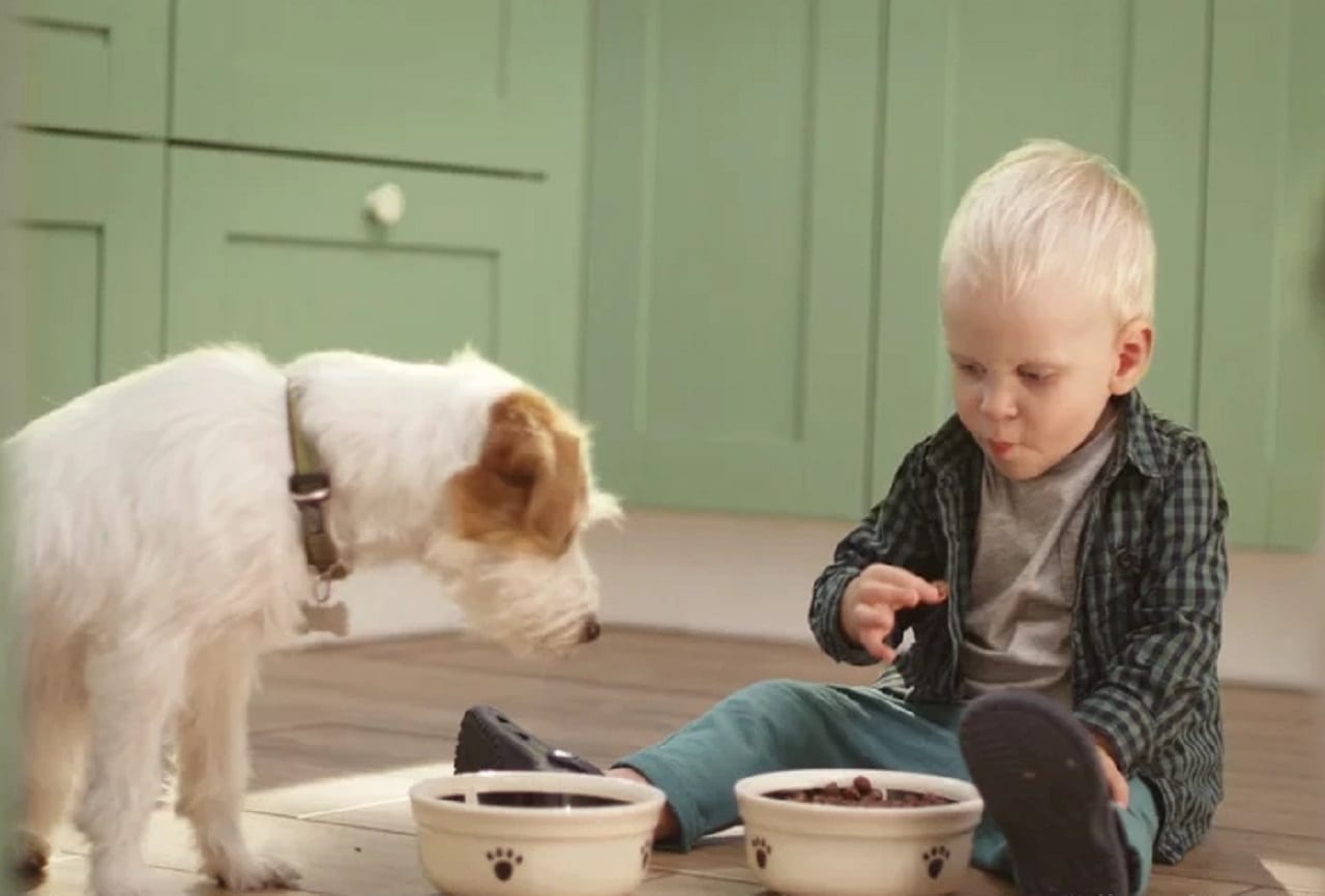 Перепробовать и найти самое-самое… (ВИДЕО)