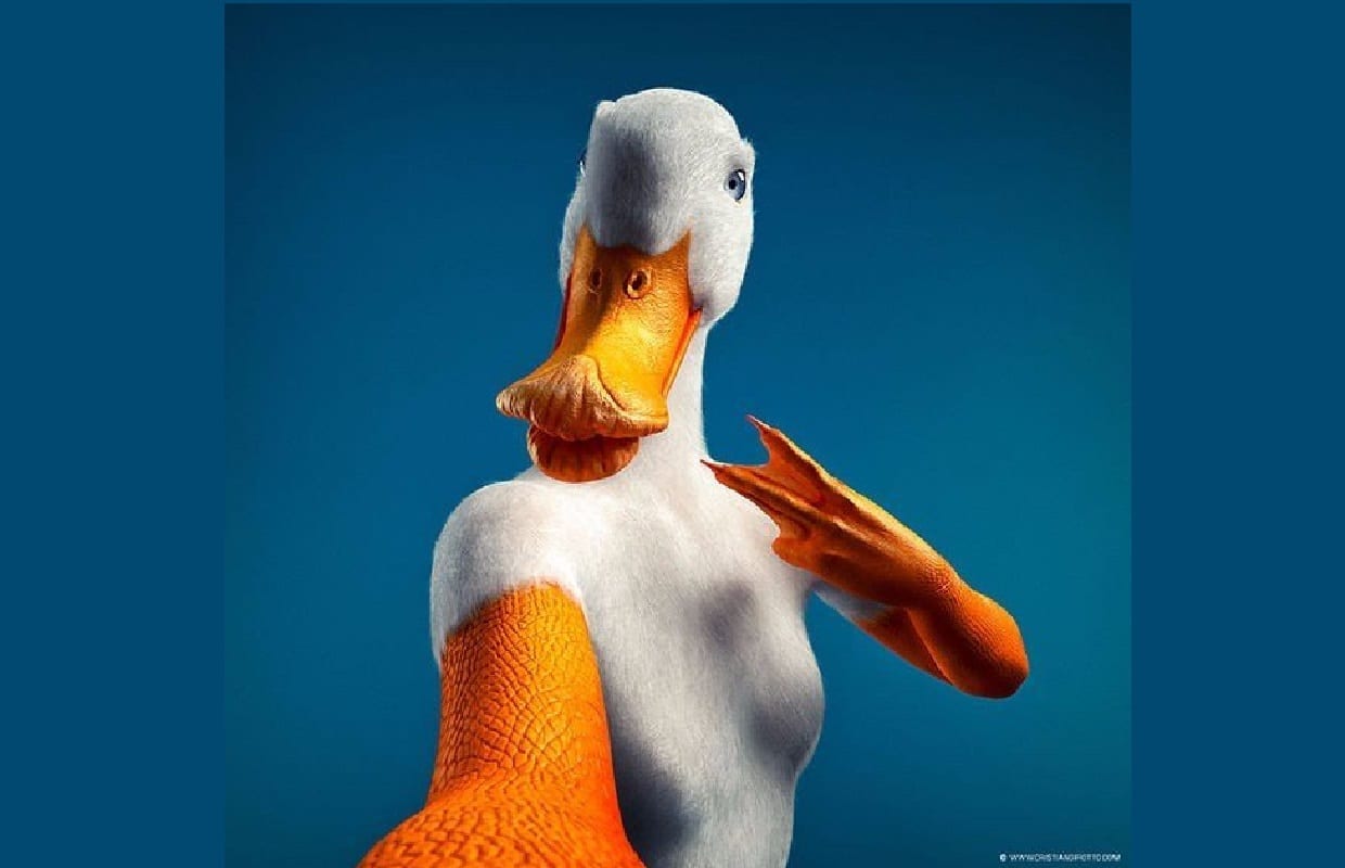 Социальные животные в социальных сетях