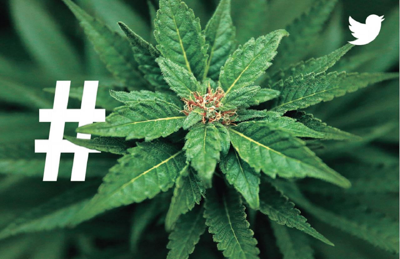 Twitter знает, что больше всего волнует мир