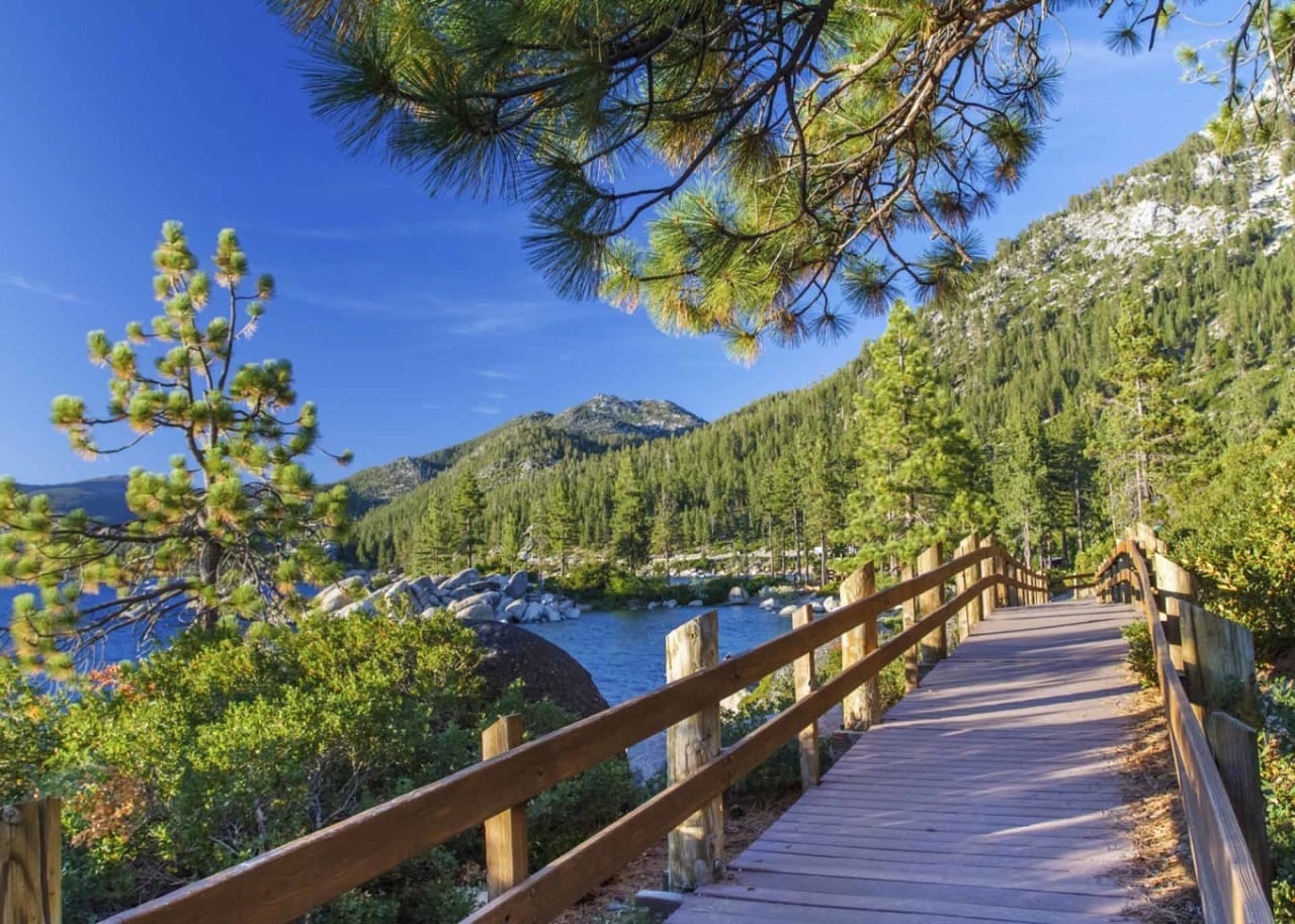 Продолжайте свой путь – и решение вас найдет. Путешествие от нищеты к успеху