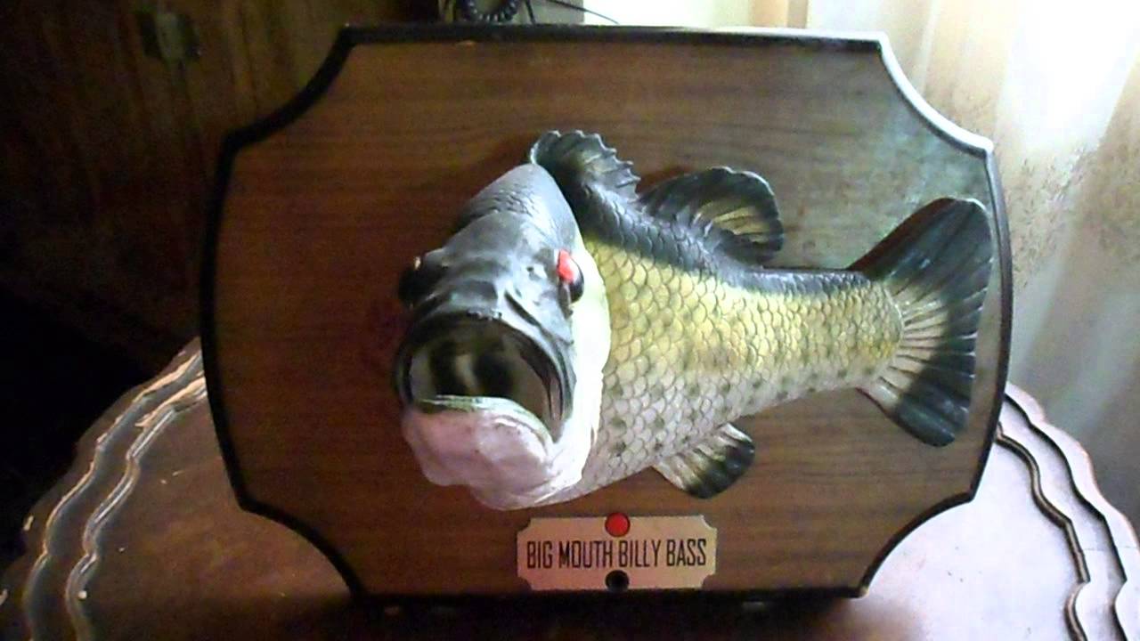 И заговорила рыбка человеческим голосом… (ВИДЕО)