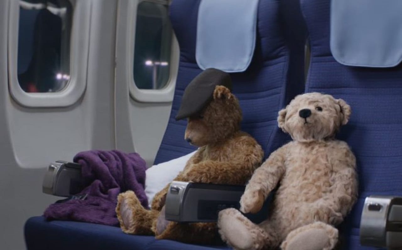 Мишки в аэропорту (ВИДЕО)