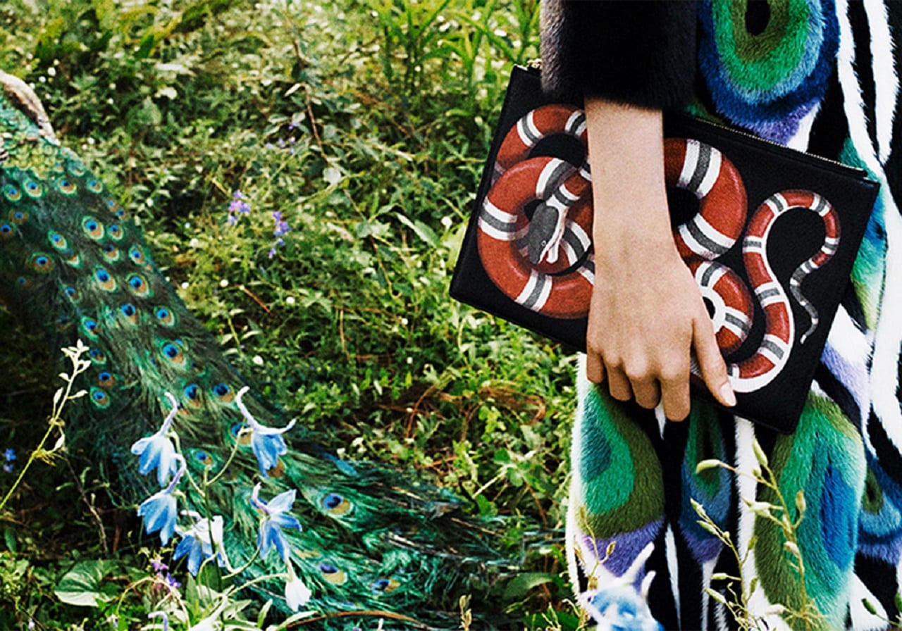 Чем сегодня искушает змей (ВИДЕО)