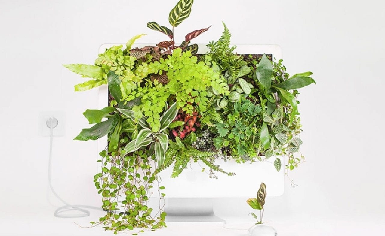 И пусть компьютер зеленеет!