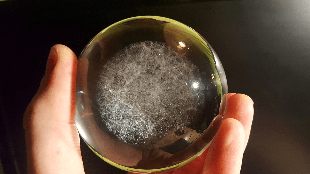 Kickstarter вангует: какие технологические новинки ожидаются в 2017 году