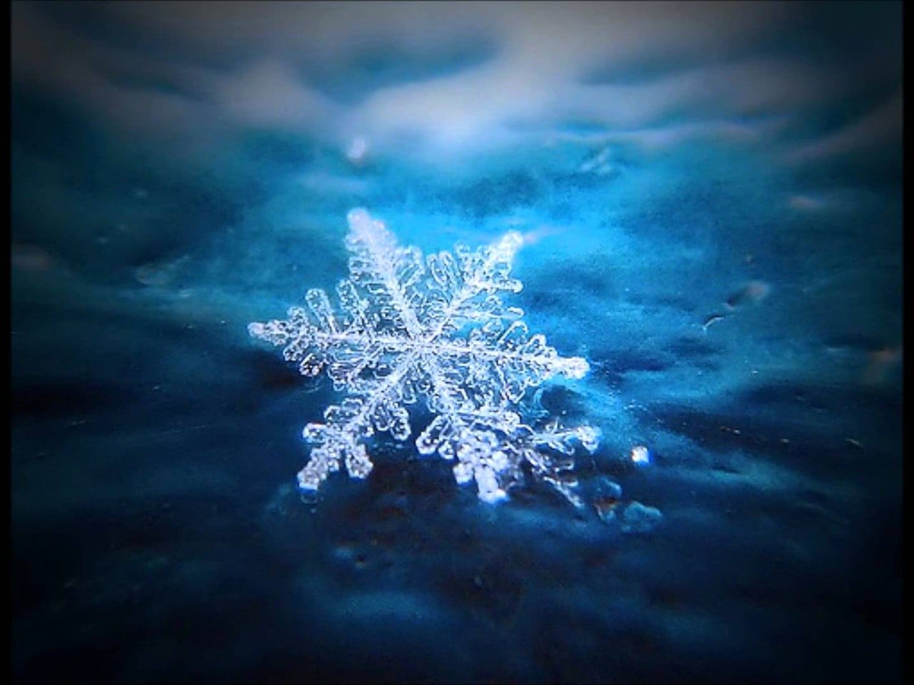 Снежинки под микроскопом
