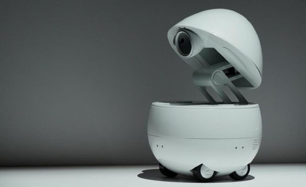 Яйцо на колесиках. Panasonic отказался от человекообразных роботов (ВИДЕО)