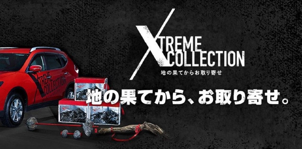 Камни с корягами оптом и в розницу (ВИДЕО)