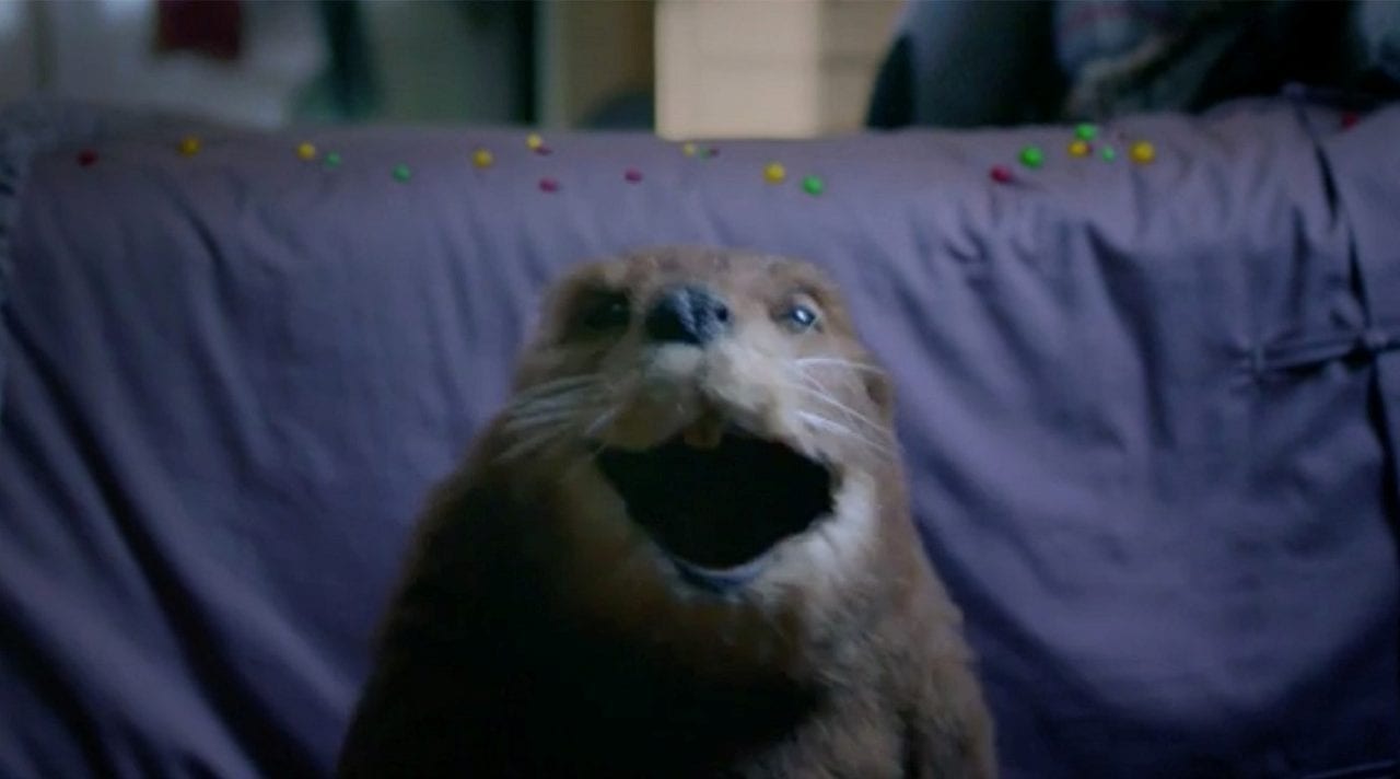 Любовь хватают на лету (ВИДЕО)