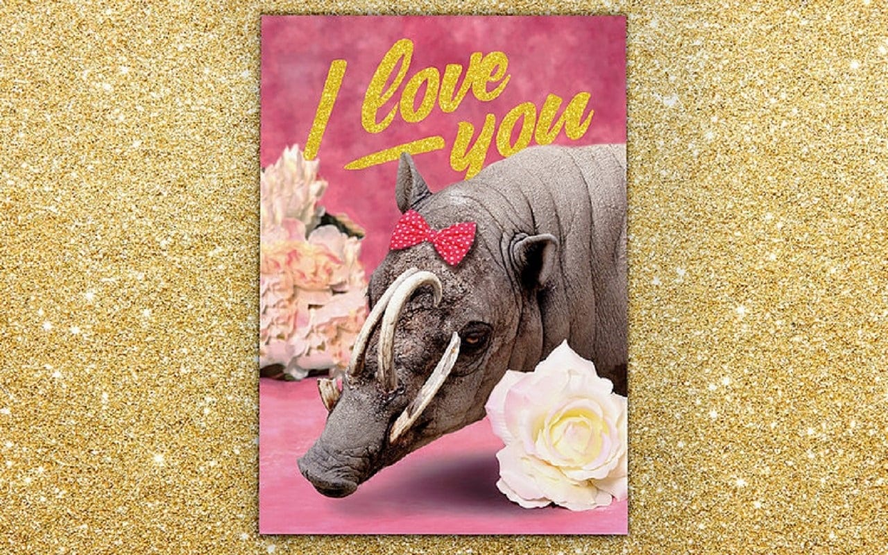 К Дню святого Валентина выпущены открытки с изображением редких и уродливых животных