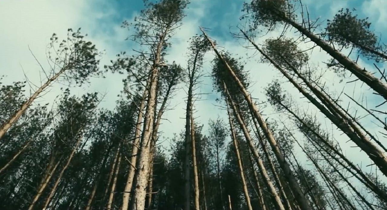 Британские звезды кино и сериалов пропели оду климату (ВИДЕО)