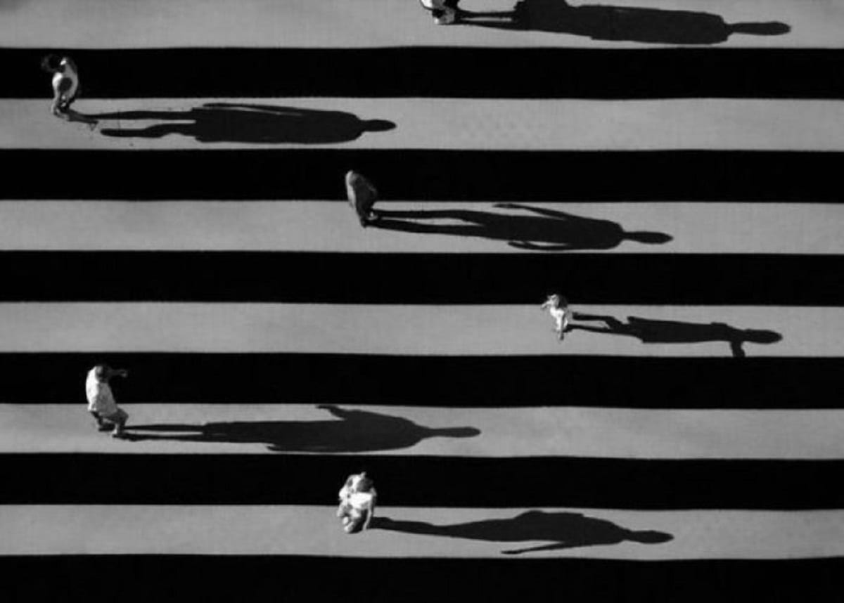 Тени отбрасывают собак. Часть 2.