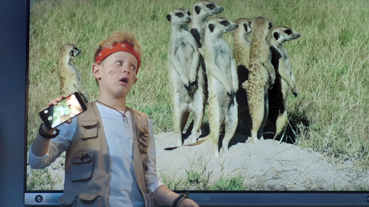 Сафари дома на скорости 100 Мбит/сек (ВИДЕО)