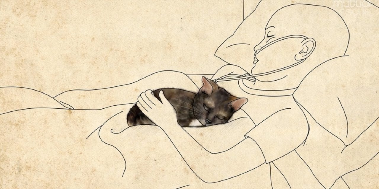 Девочка и котенок. Возможно, самый душераздирающий ролик года (ВИДЕО)