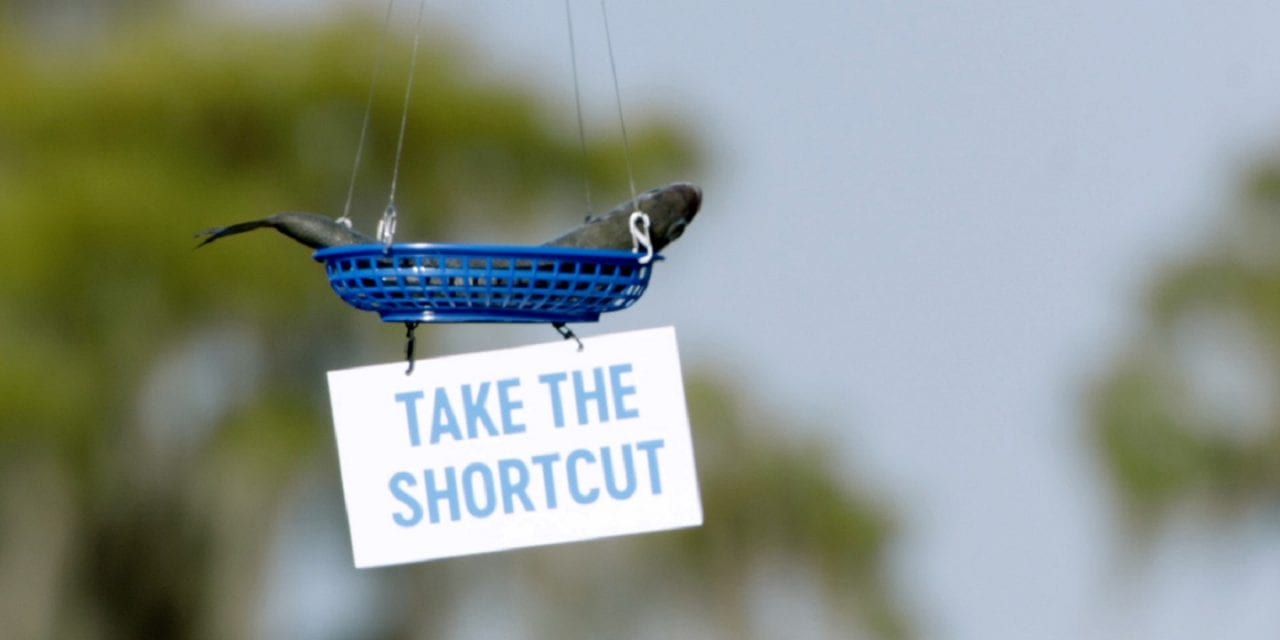 Как рыба ловится с помощью дрона (ВИДЕО)