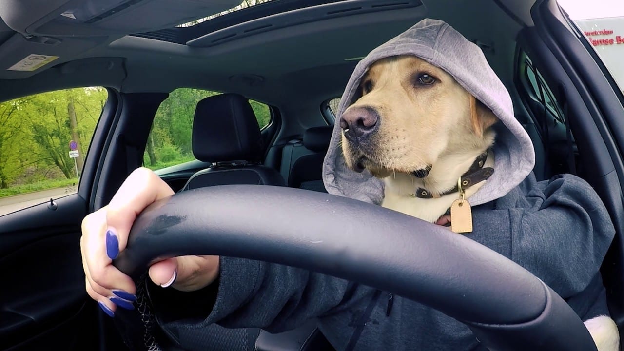 Opel меняет автомобиль на видеоролик (ВИДЕО)