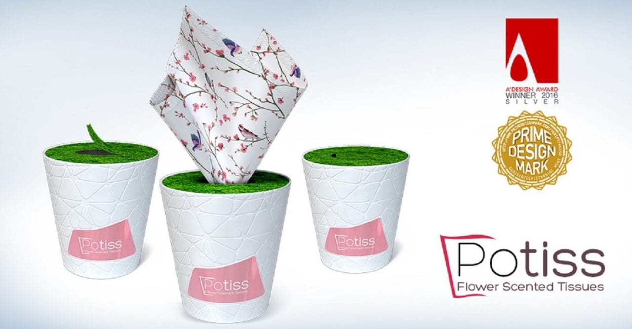 Как вырастить дерево из салфеток