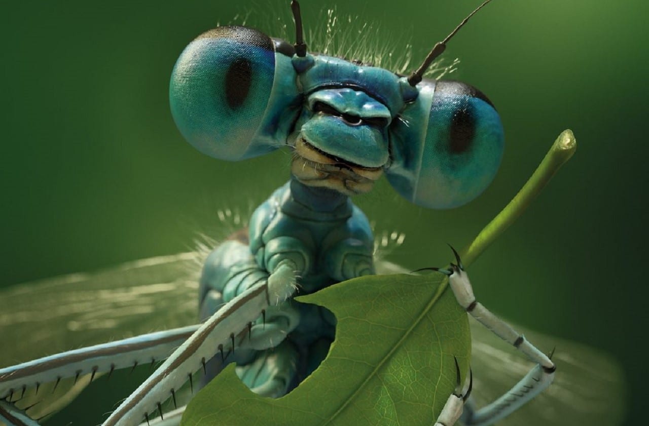 Как создать фотоателье для насекомых (ВИДЕО)