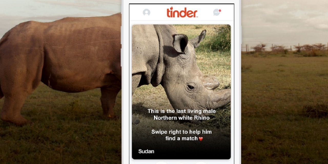 Единственный в мире холостяк нуждается в наследниках (ВИДЕО)