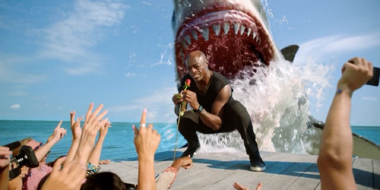Знаменитого певца съела акула на глазах у толпы почитателей (ВИДЕО)