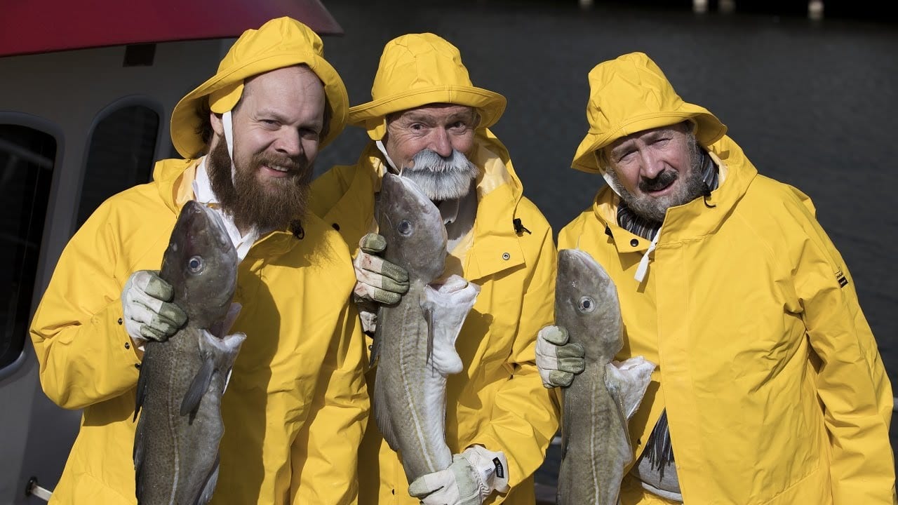 В Норвегии создали суперхит о треске и банкноте (ВИДЕО)