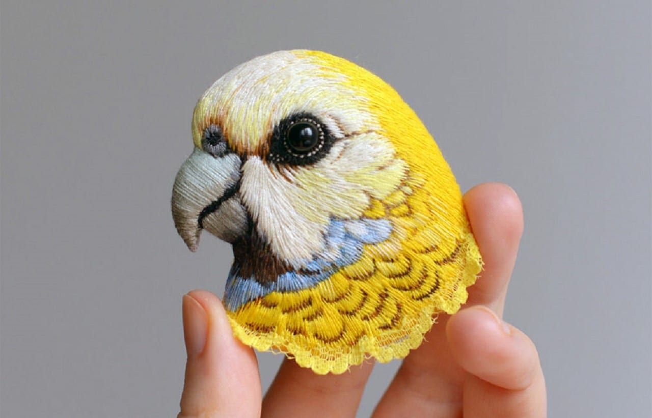 Самые мягкие портреты птиц