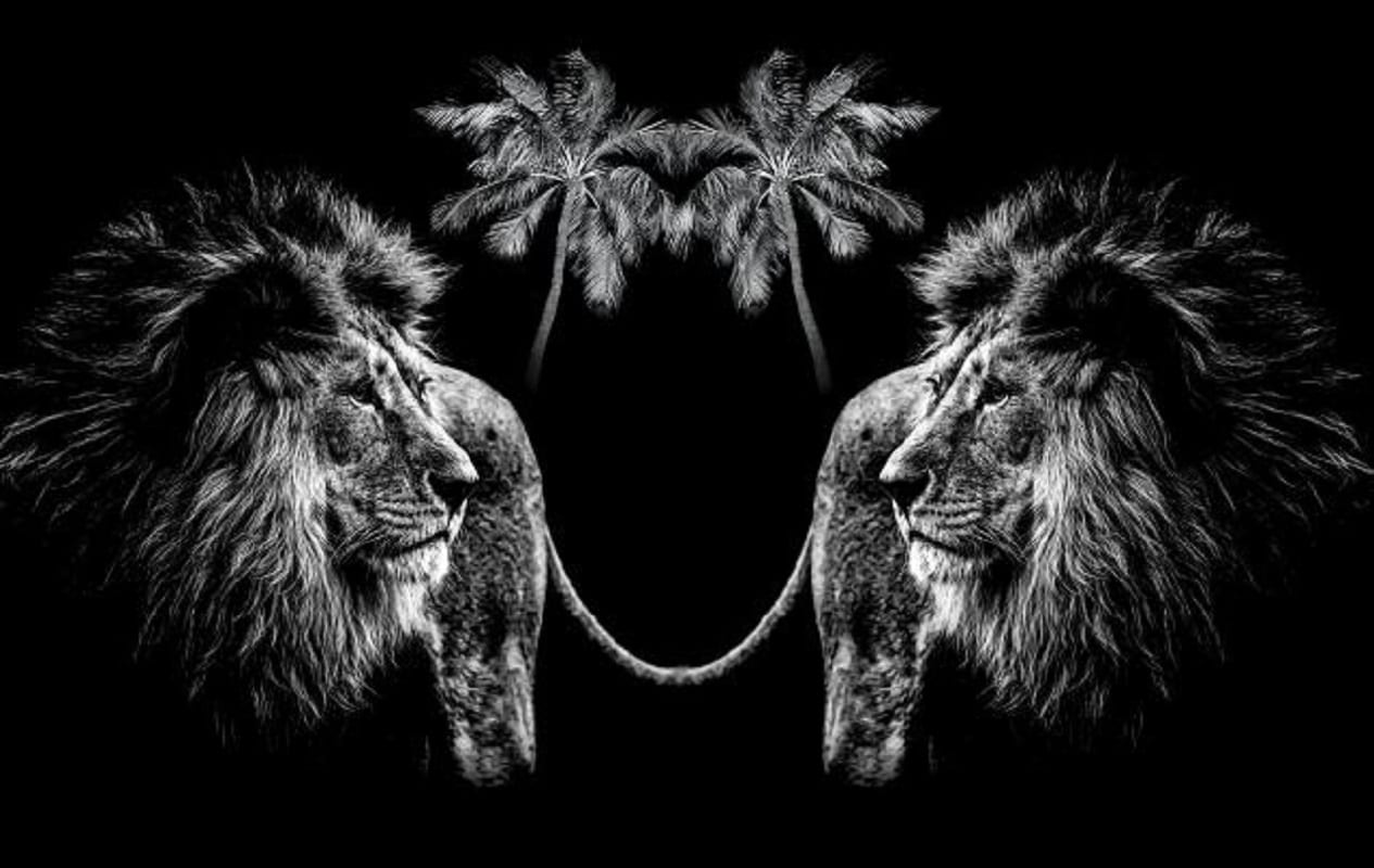 Советы от завсегдатаев Cannes Lions