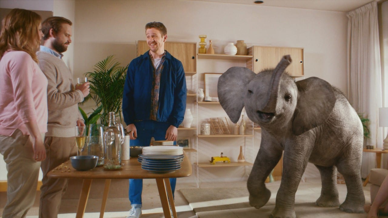 Невоспитанный слоненок плюется орехами (ВИДЕО)