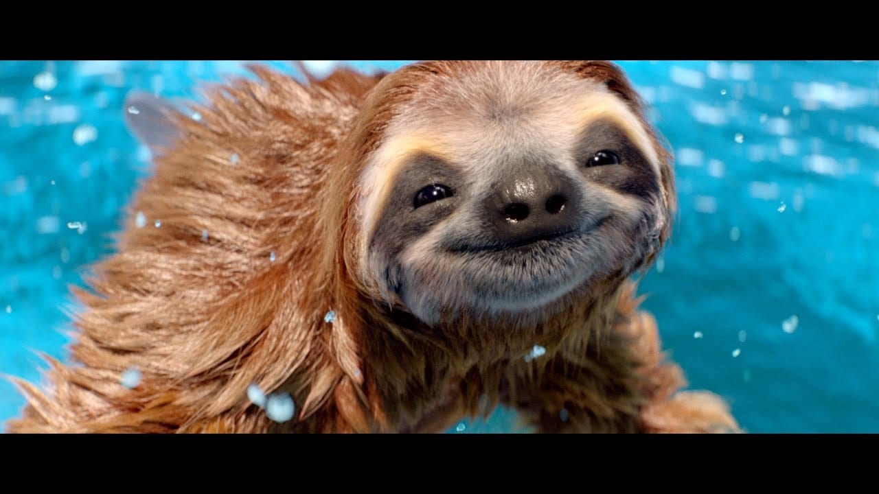 Пользователь будущего: полуленивец-полудельфин (ВИДЕО)