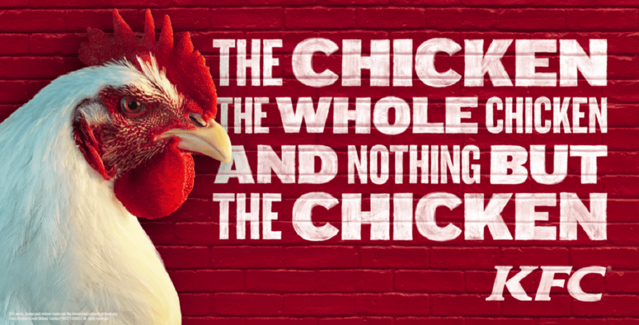 Куриный рэп или самый живой цыпленок (ВИДЕО)