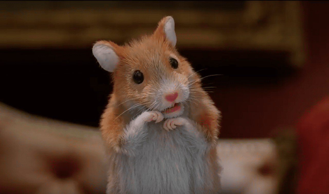 Как подлый хомяк испортил геймеру игру (ВИДЕО)