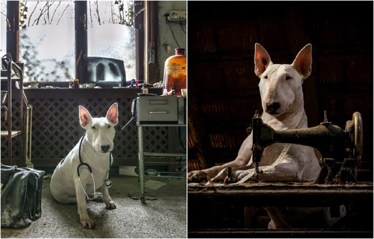 Шикарная модель, которая работает за еду. Часть 1.