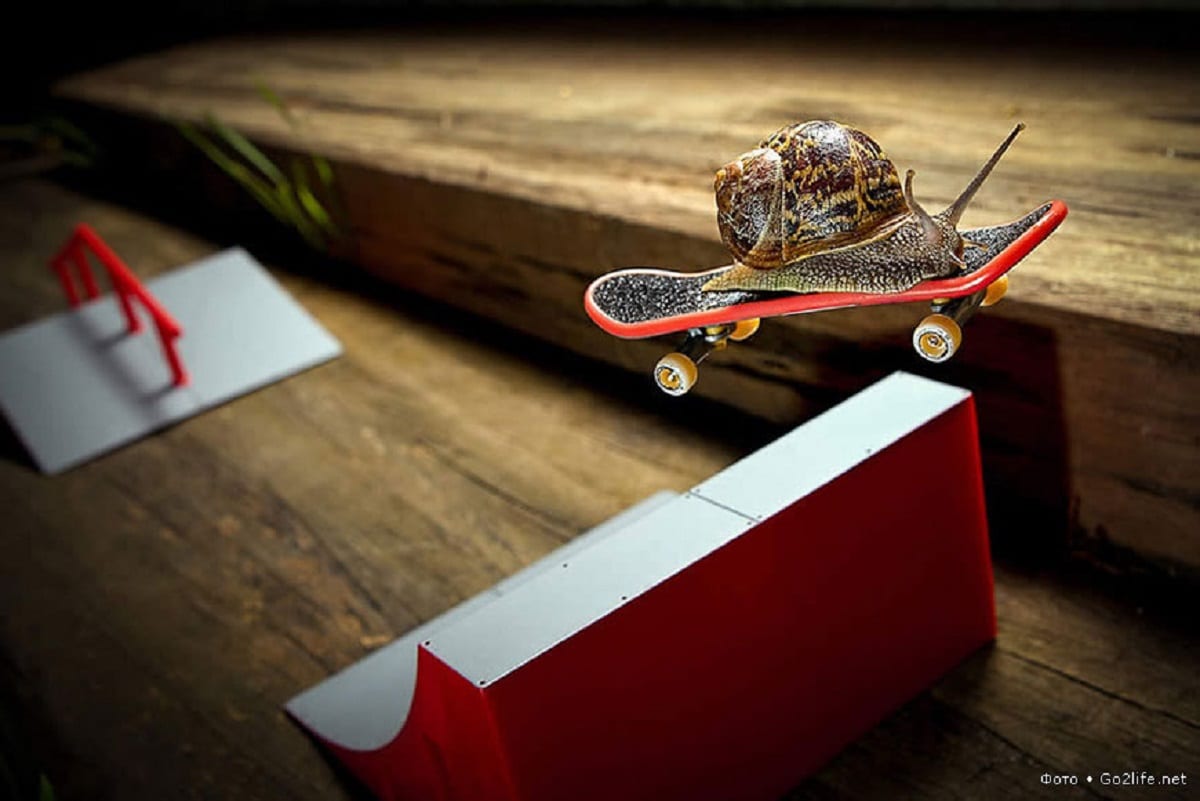 Красочные фото на грани нереальности. Часть 4.