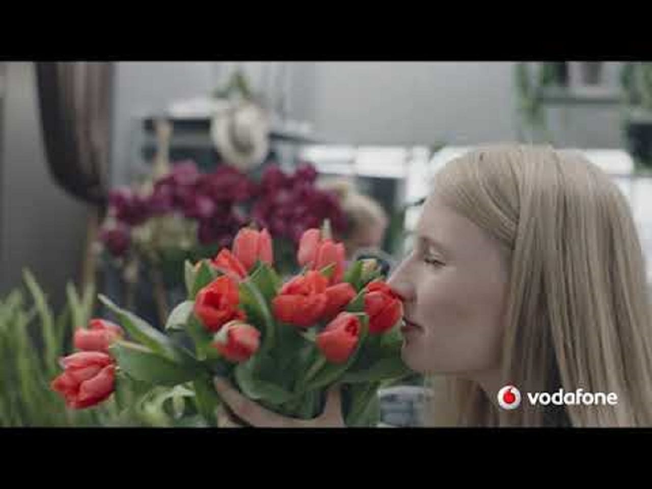 Без виз – за тюльпанами и круассанами (ВИДЕО)