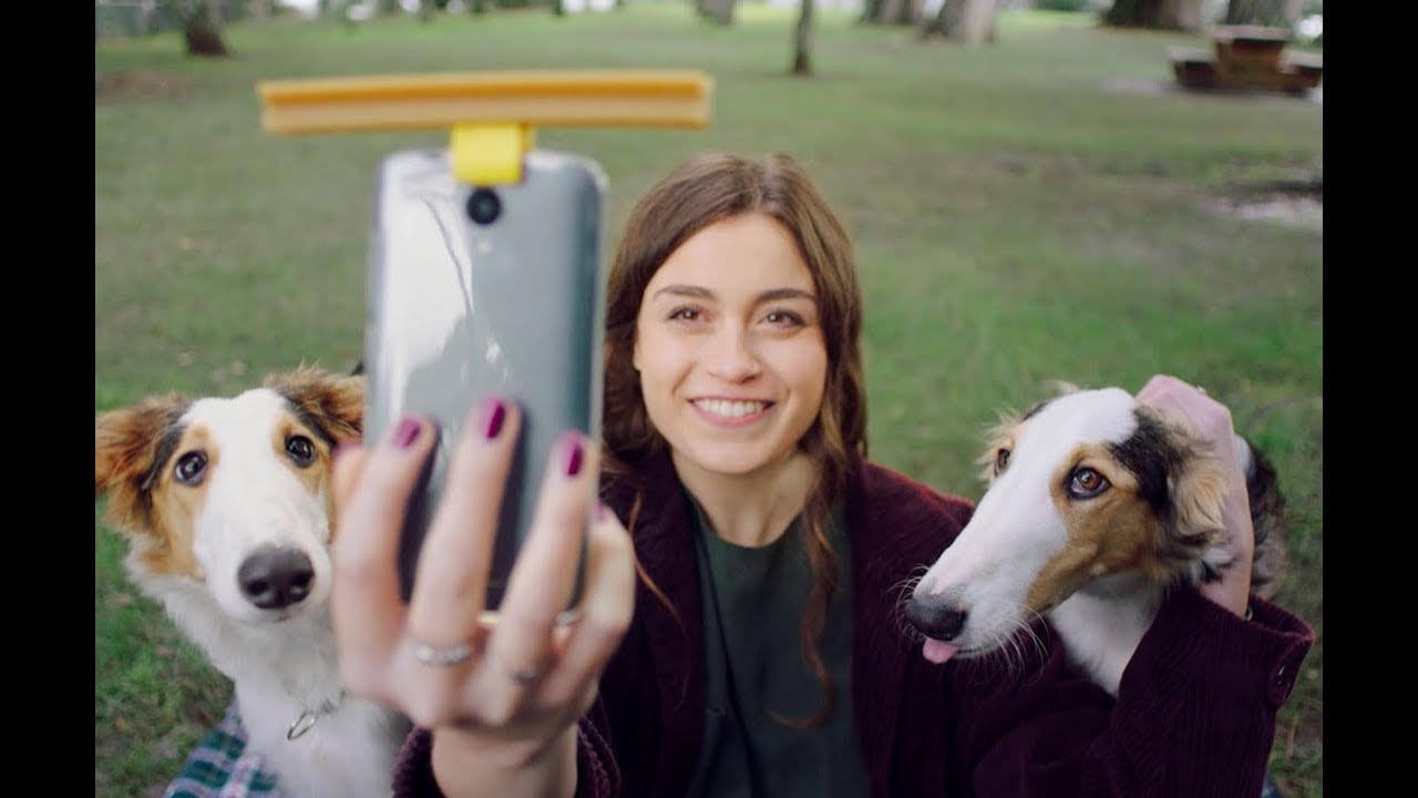 В Новой Зеландии предлагают специальную клипсу для собачьего селфи (ВИДЕО)