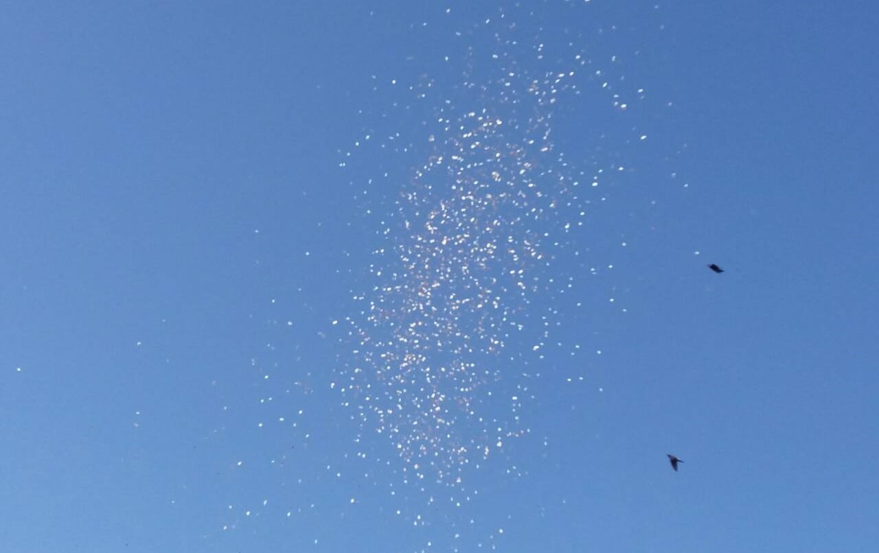 На жителей Черкасс с воздуха сбросили десятки килограммов наличных денег (ВИДЕО)