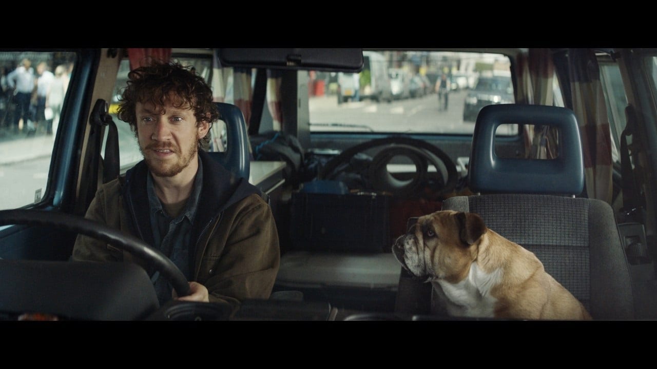 Почему нужно слушаться своего бульдога (ВИДЕО)