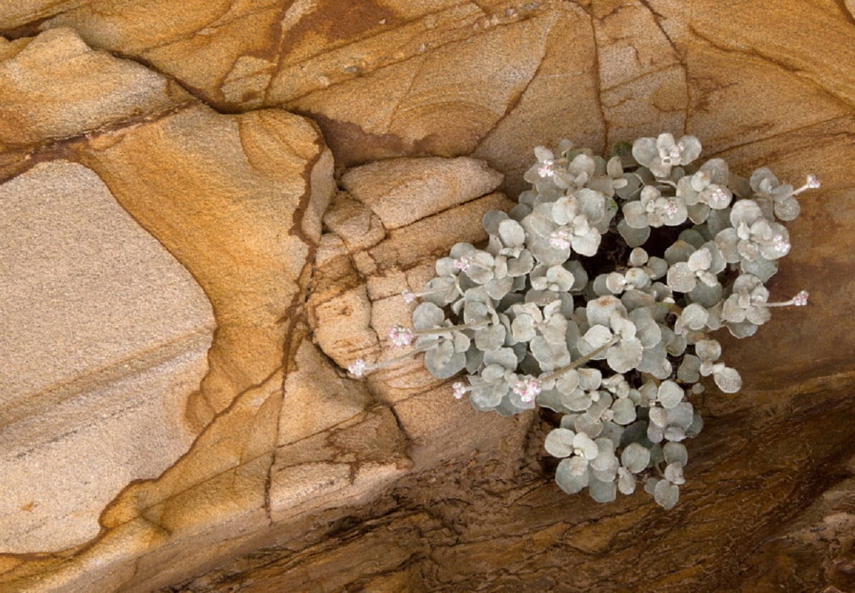 Как из облупившейся краски создать почти шедевр. Часть 2.