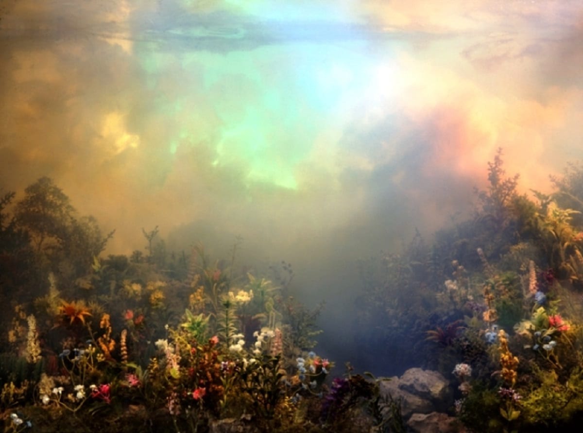 Как прославиться с помощью аквариума. Часть 4.