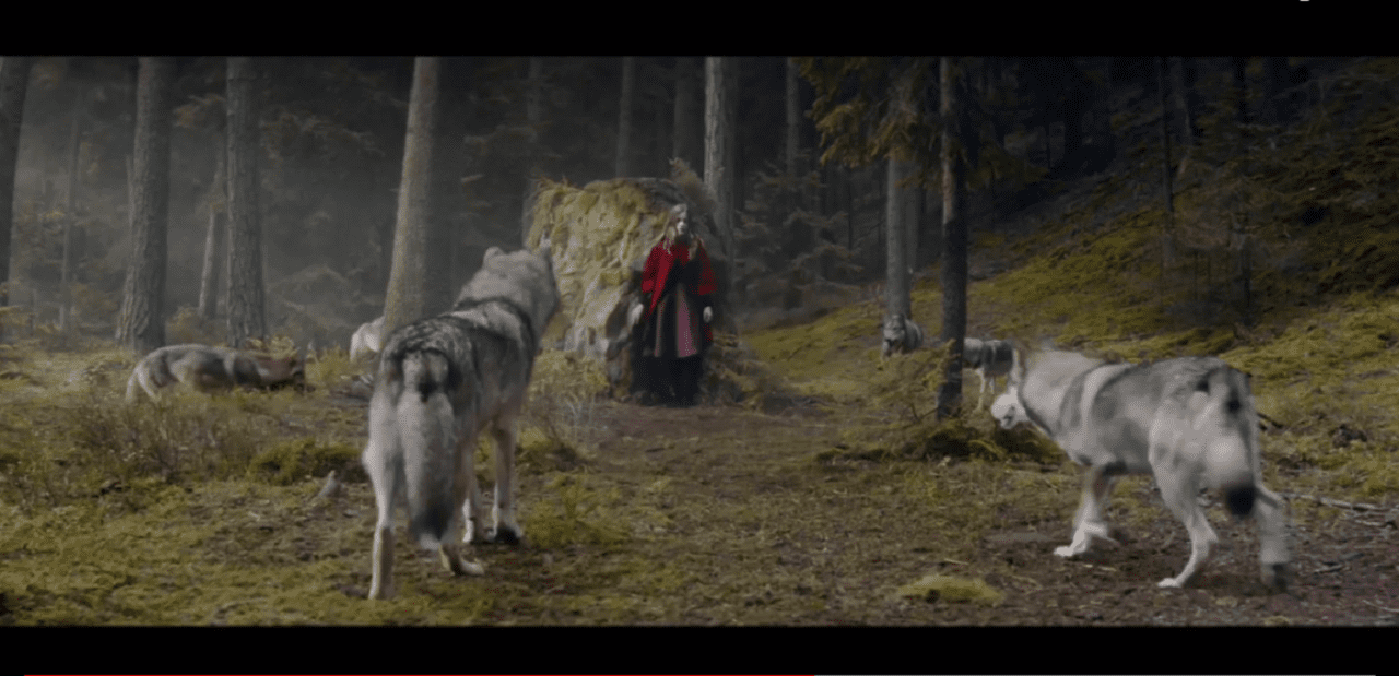 Как шоколад превращает охоту в игру (ВИДЕО)