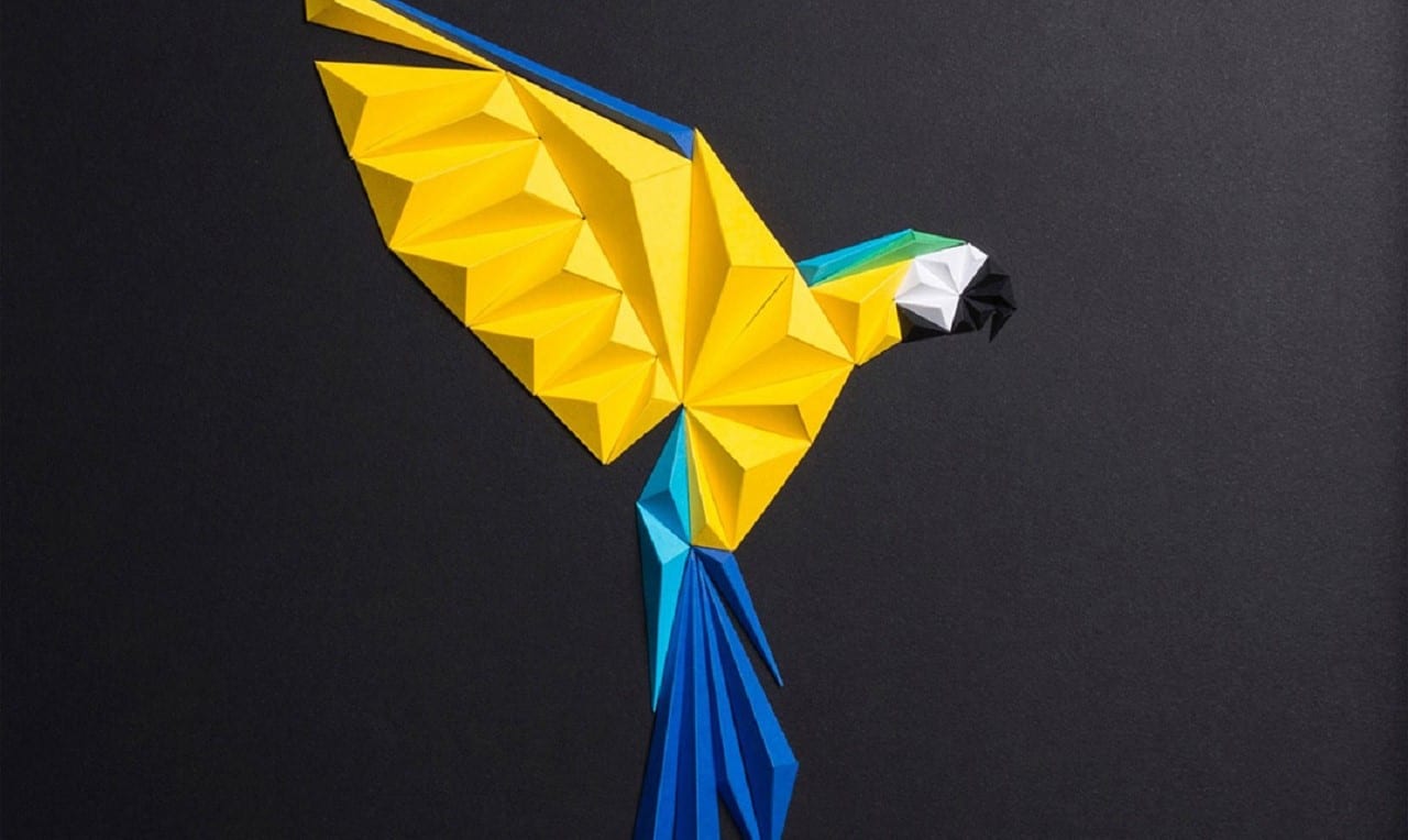 Бумажная орнитология Тайфюна Тинмаза